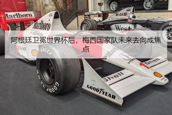 阿根廷卫冕世界杯后，梅西国家队未来去向成焦点